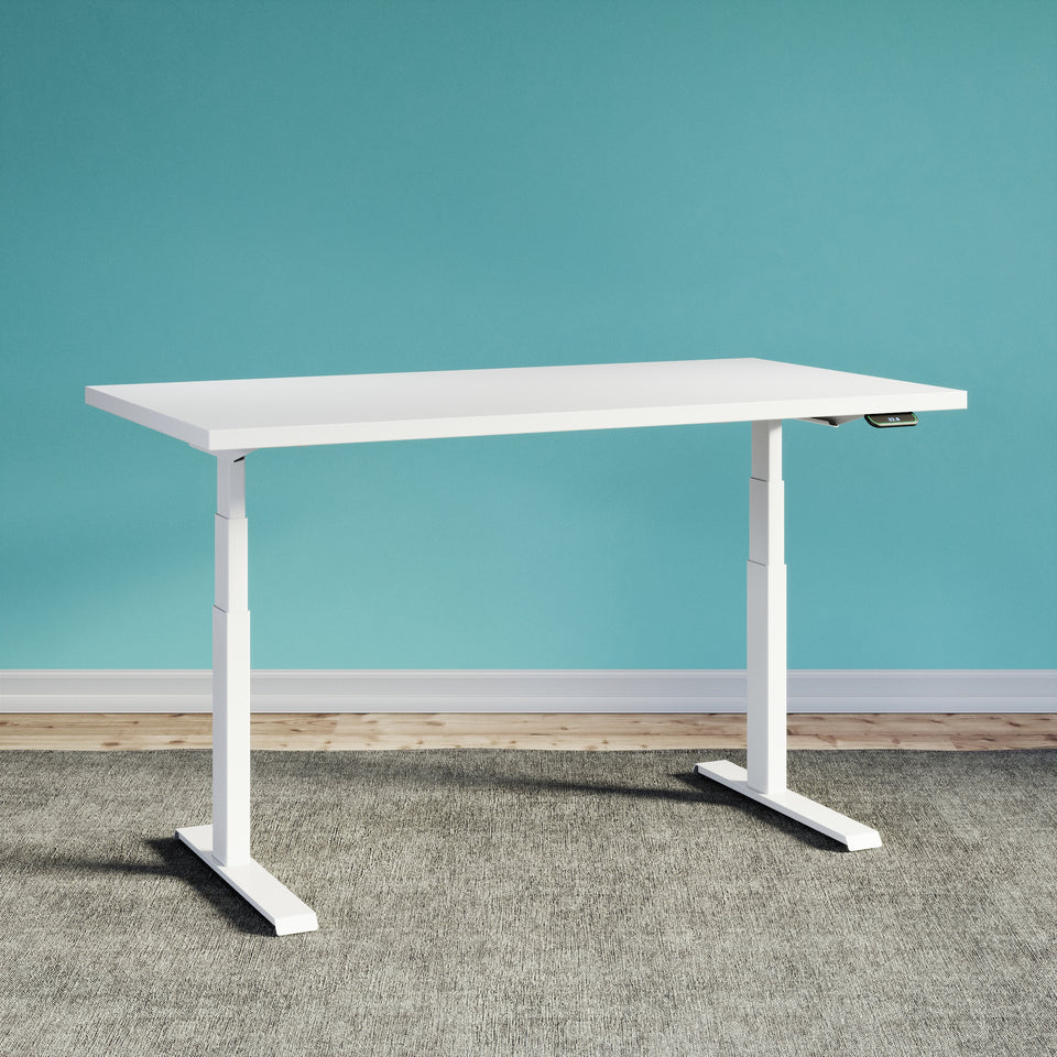 Sit-Stand Desk with LINAK System
